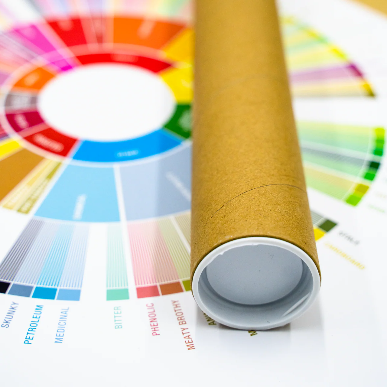 Coffee Tasting Wheel Poster (with Poster Tube Holder) - Image 4