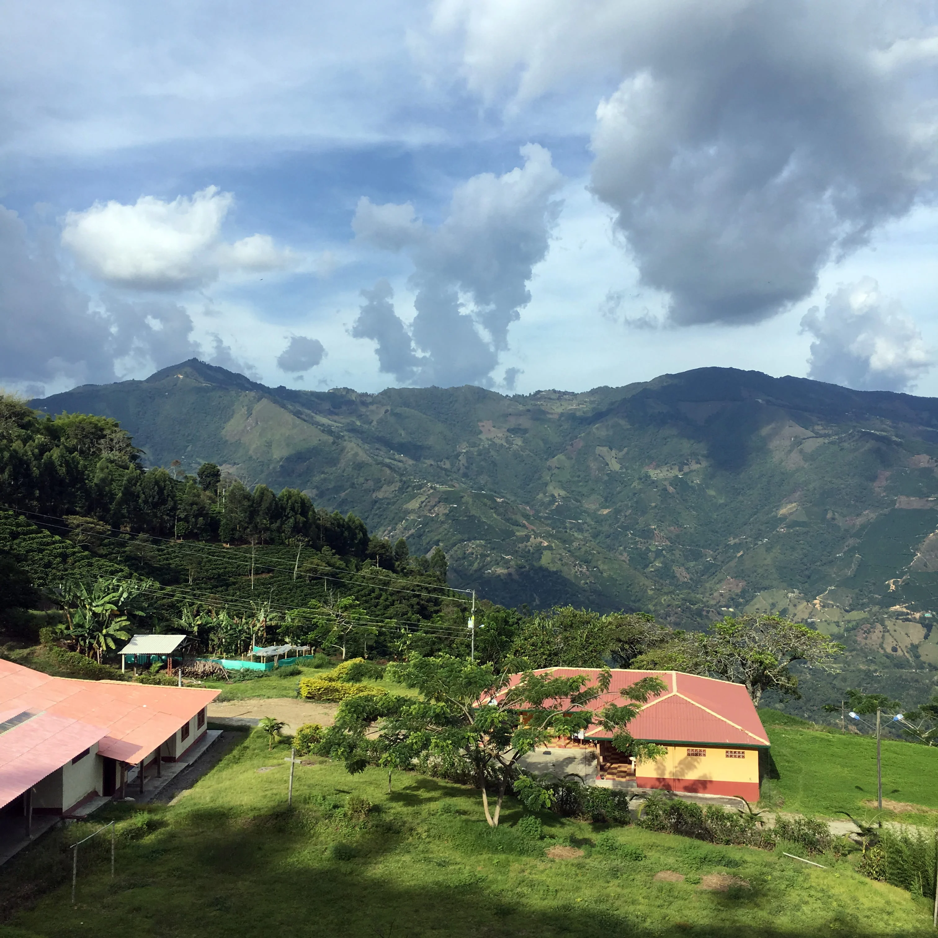 Colombia Agua Linda (Roaster's Special) - Image 6