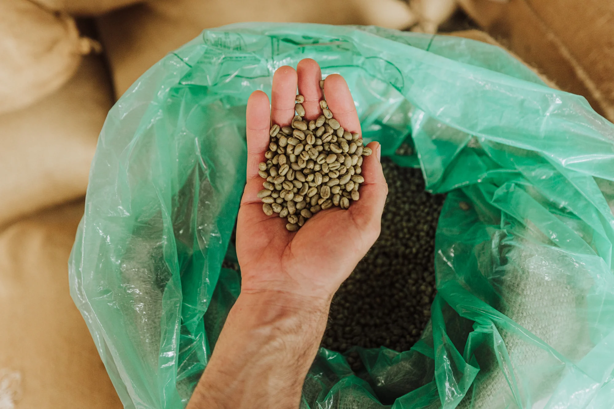 Costa Rica Finca Aquiares (ROASTER'S SPECIAL) - Image 8