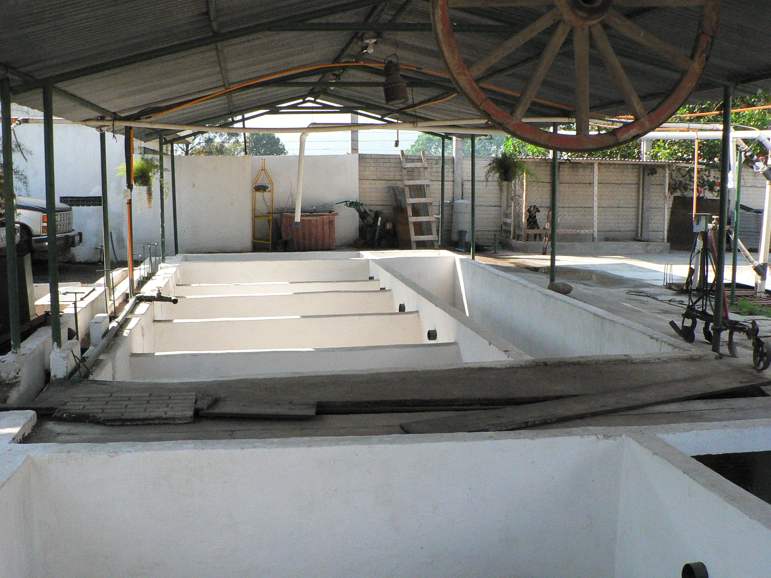 Guatemala El Bosque (Seasonal Special) - Image 6