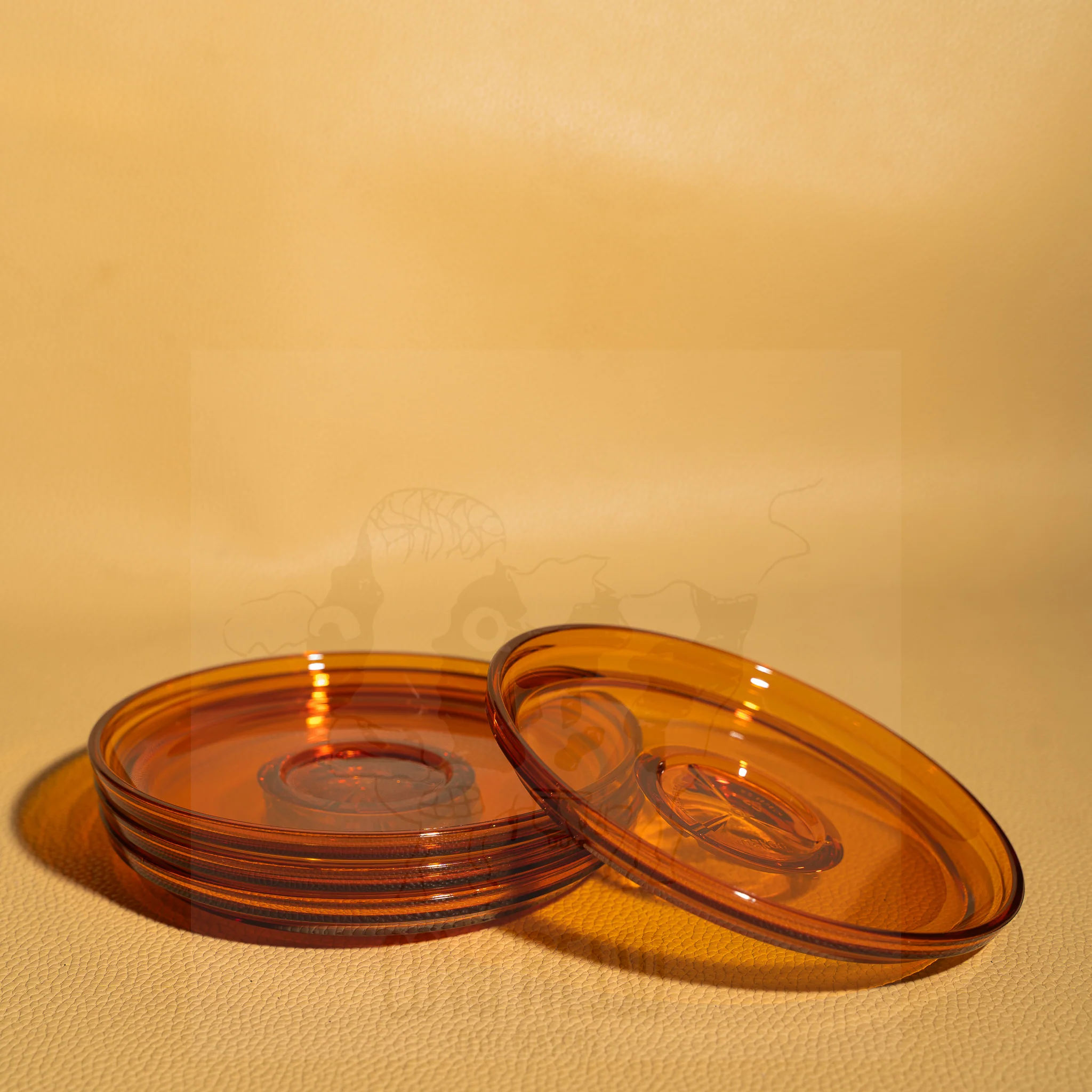 HUSKEE Renew Universal Saucer - Image 2