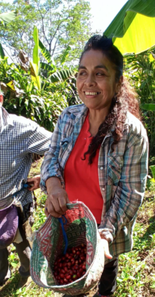 Mexico Wet-hulled 1KG (Green/Unroasted Coffee) - Image 3