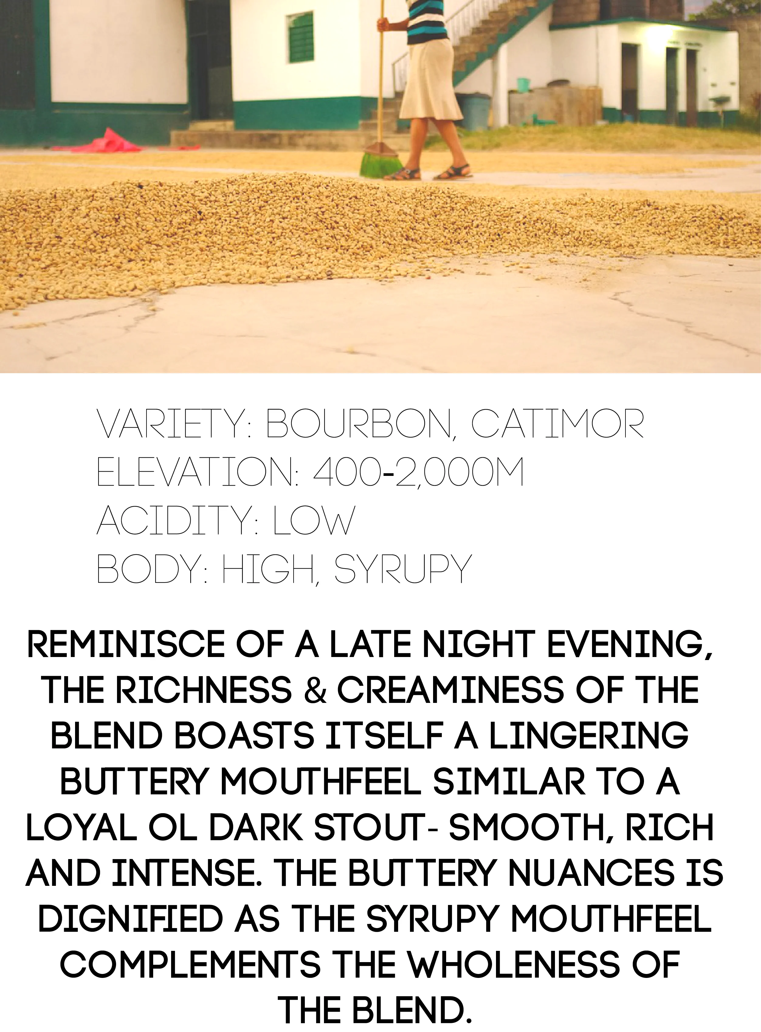 Rich Stout Blend - Image 3