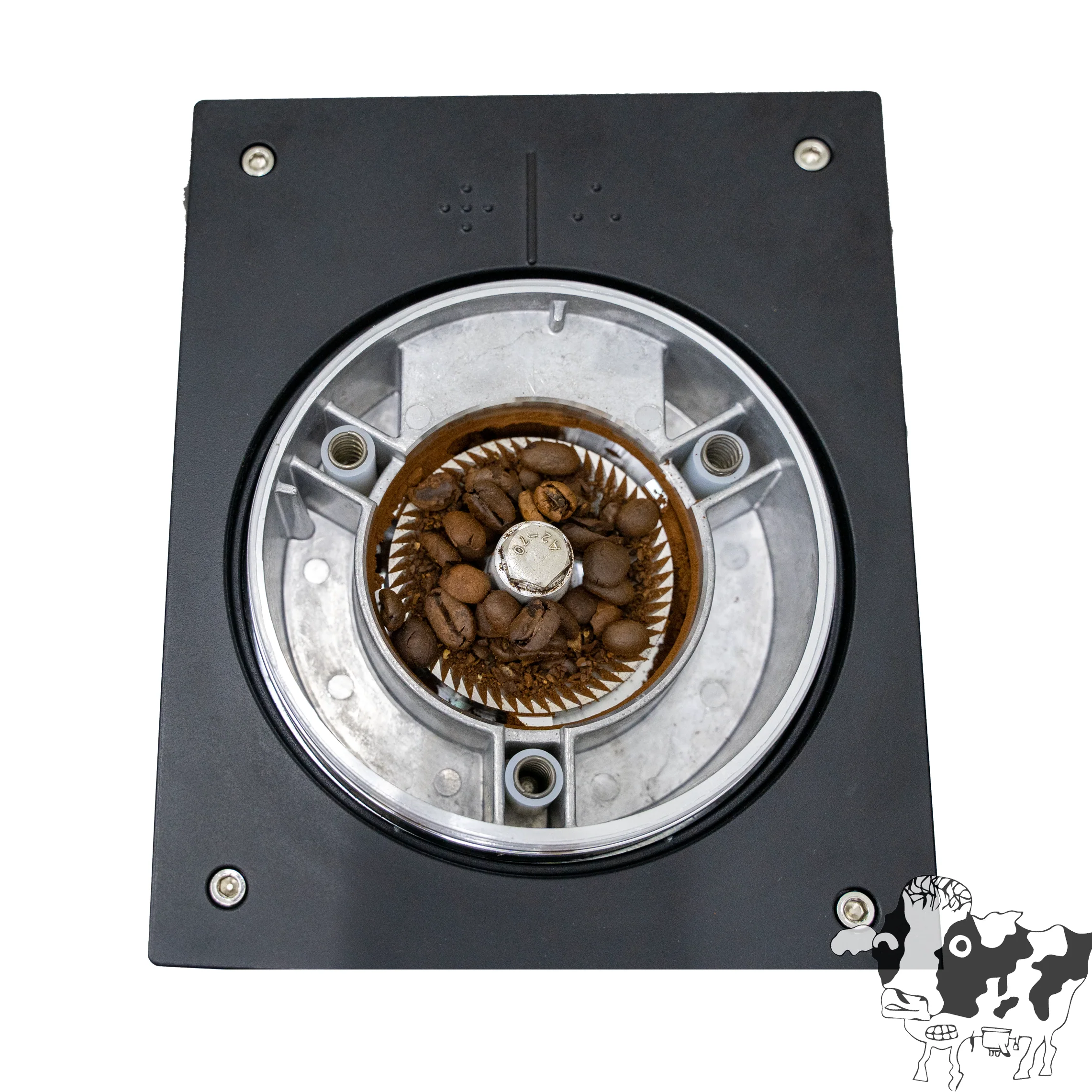 ZF64 Coffee Grinder (Grind by Timing) - Image 4